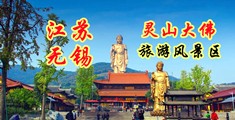 成人免费观看大鸡鸡江苏无锡灵山大佛旅游风景区